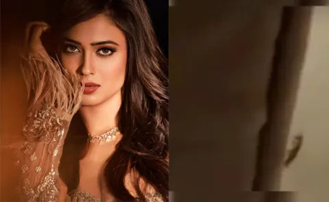 Shweta Tiwari Claims Cockroach Found In Instamart Cold Drinks Order Tags Tukaram Mundhe