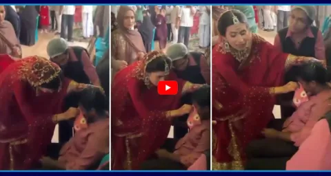 Kerala Doctor Bride Pauses Her Wedding To Provide First Aid To Catering Staff 1