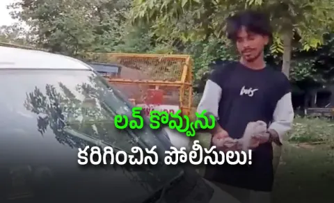 A Car Full of Kisses Viral With Millions of Views Then the Cops Twist