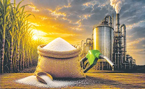 Sugar Price increased by 30 Percent in a month