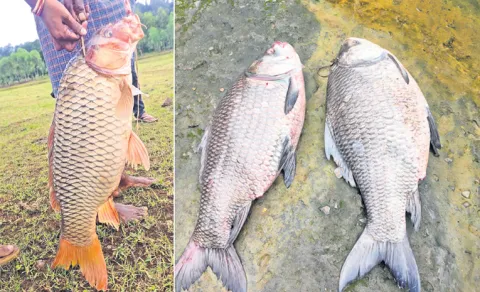 20Kgs Fish to Fishermen Net