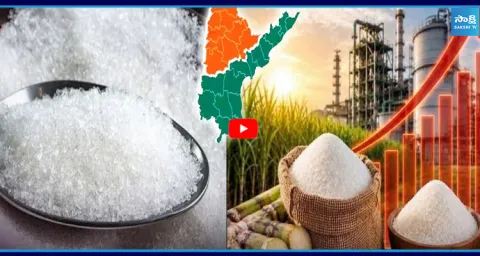 Sugar Prices Shock  1