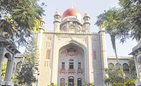 Telangana HC Expresses Serious Concern Over Police Inaction in Tracing Biological Parents