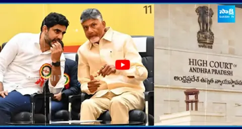 Broken Promises & Rising Debt Shocking Survey on Chandrababu Government 2 Years Ruling 2