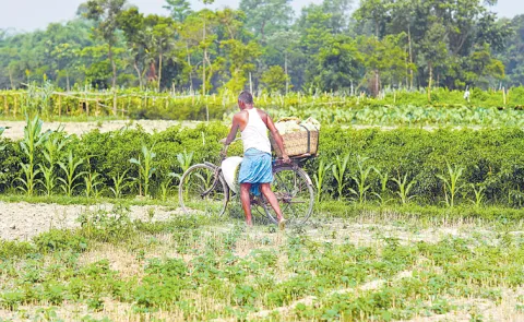 Sakshi Guest Column On Tenant farmers Issues