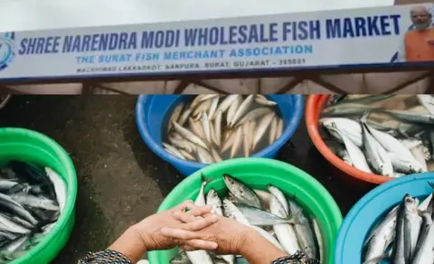 Row in Gujarat as Surat Wholesale Fish Market Named After PM Narendra Modi