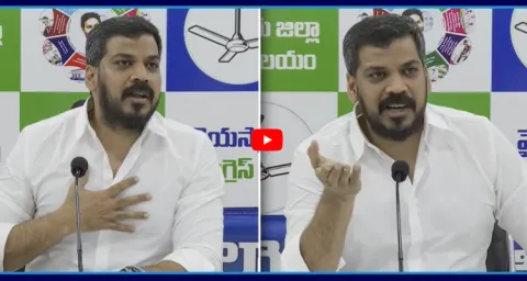 YSRCP Leader Anil Kumar Yadav About 2029 Elections