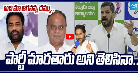 Anil Kumar Yadav Great Words About YS Jagan Politics