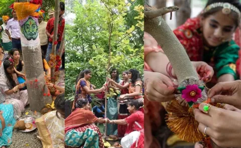 Raksha Bandhan 2026: 101 girls In Makhand village tie rakhis to trees 