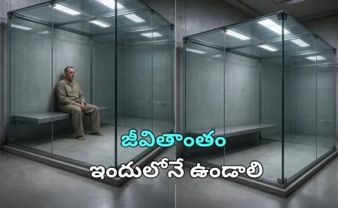 He lives locked in a glass cage 