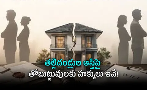 No Will left Who Inherits the Property Real Sibling Rights Explained