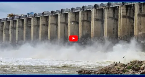Flood Waters Rush Into Srisailam After Jurala Gates Open 1