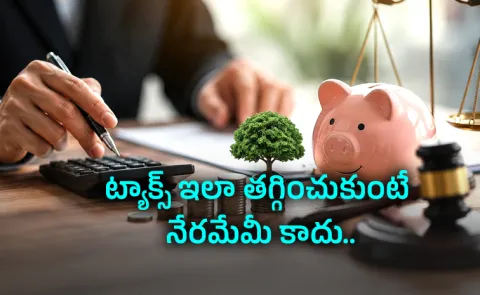 Tax Planning Is Not Tax Evasion: Smart Tax Compliance Wealth Building