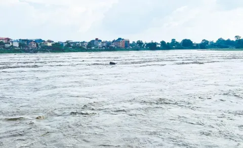 Health Alert Avoid Consuming Fish and Aquatic Animals from Flooded Rivers in Nepal