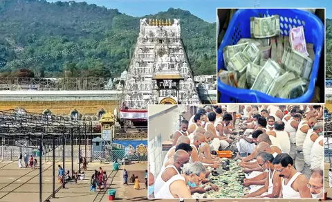 Tirumala Sets New Record July 2026 Hundi Collections
