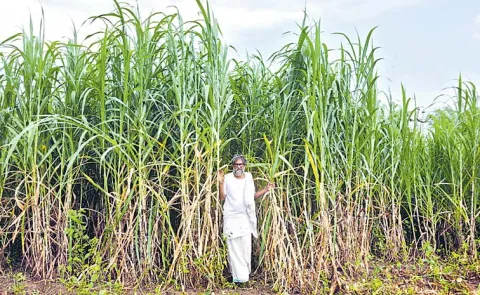 Integrated Indigenous Dairy Farming Model For Small Farmers