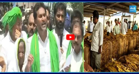 YS Jagan About Tabaco Farmers Problems  1