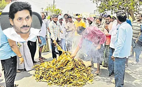 Former CM YS Jaganmohan Reddy to visit Devarapalli tobacco purchasing center  