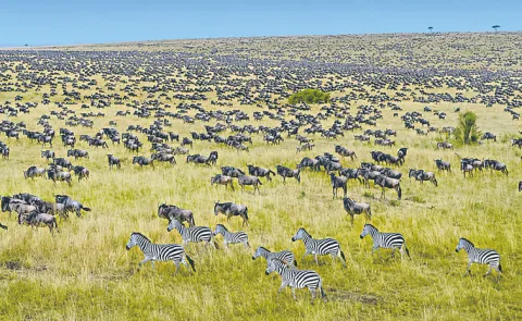 Negatives of Tourism in the Maasai Mara Problems
