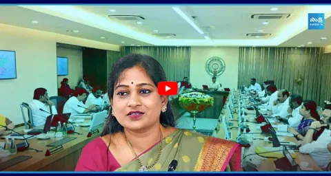 Cabinet Ministers Cancels The Disha Act In Andhra Pradesh 1