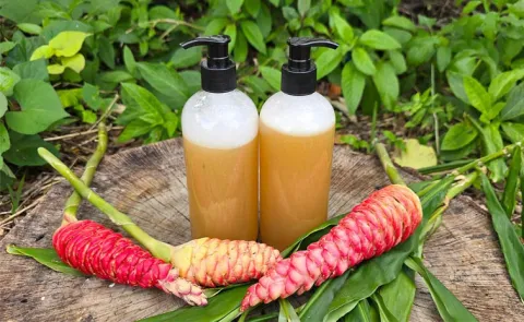 Natural Alternative Shampoo Ginger benefits For Hair