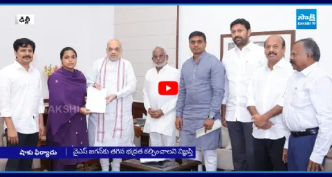 YSRCP MPs Meet Amit Shah And Raise Jagan Security And DSC Issue 1