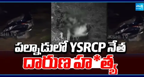 YSRCP Navuluri Chenna Reddy Murder In Palnadu 1