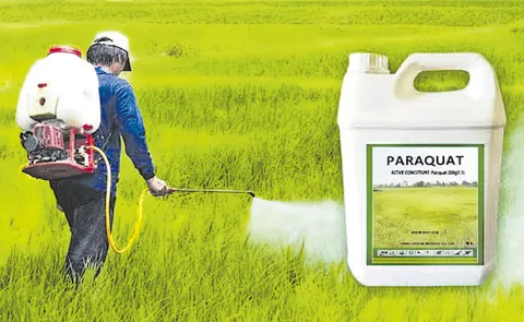 Experts welcome proposed ban on deadly paraquat herbicide13