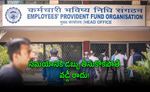 EPFO Alert Claim Your EPF Money Before Deadline or Lose Interest