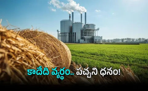 From Waste to Green Gold: How Crop Residue Becoming India Next Bio Energy Commodity