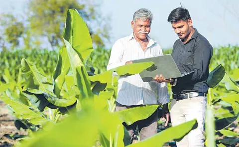 Subsidiary agriculture is the source of life