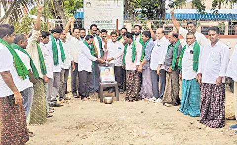 Tobacco prices rise with Jagans visit