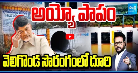 Veligonda Project Credit Chory 1