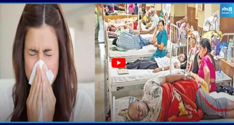 Viral Fever Cases Rise in Telangana 1