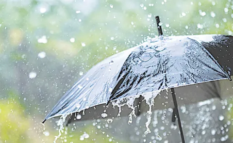Heavy Rain Likely in Parts of Andhra Pradesh