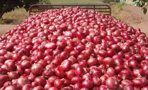 Onion Price Hike