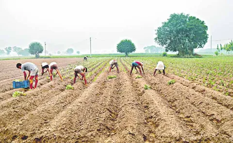 Healthy soil is the source of human health