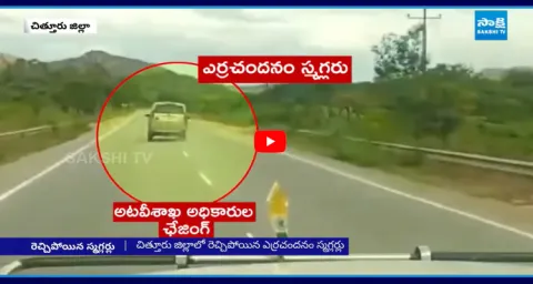Chase Between Forest Officers And Smugglers 1