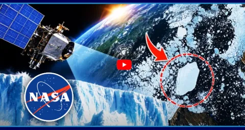 NASA Satellite Captures 76 Sq Km Iceberg Breaks Away In Greenland  1