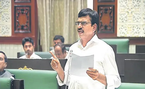 Ponguleti Srinivasa Reddy Comments At Legislative Assembly