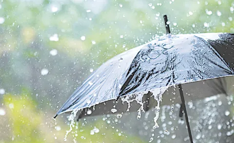 Heavy rains in Andhra Prades