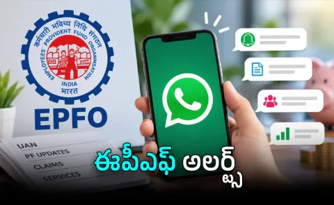 EPFO WhatsApp Service Check PF Balance Claim Status chatbot