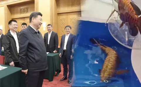 China's Robotic Fish Raises Underwater Surveillance Concerns