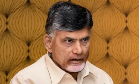 Kommineni Srinivasa Rao Comments On Chandrababu Class To Collectors In Meeting