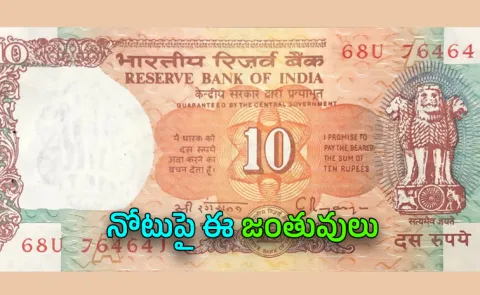 Why Did Old Rs 10 Notes Have Elephant Rhino And Deer On Them Know The Reason