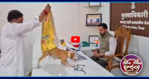 Protest With Stray Dog In Nashik Municipal Corporation  1