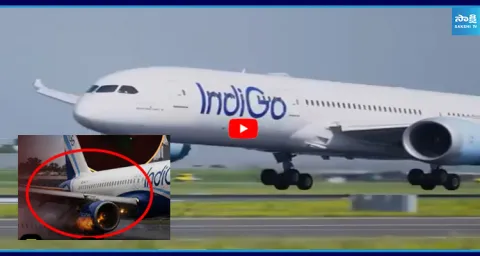 IndiGo Goa-Delhi Flight Makes Emergency Landing After Engine Failure 2
