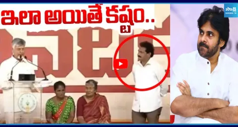 Chandrababu Sensational Comments On Narasapuram Janasena MLA 1