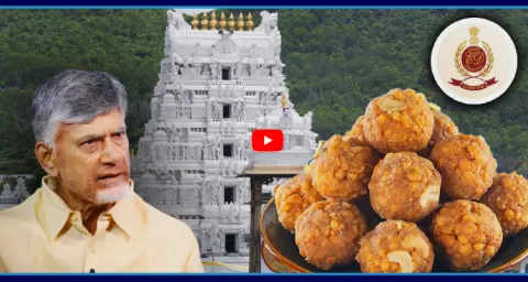 Enforcement Directorate Report On TTD Laddu Case 1