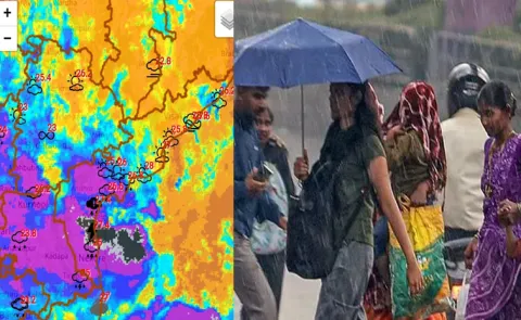 IMD Says Five Days Rain Alert For AP